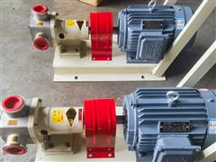 不鏽鋼轉（zhuǎn）子泵