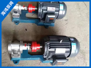 2CY不鏽（xiù）鋼齒（chǐ）輪泵（bèng）