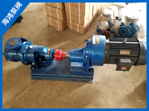 NYP高（gāo）粘度轉子泵-高粘度轉子泵