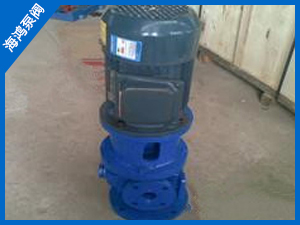 圓弧泵-立式（shì）圓（yuán）弧泵（bèng）