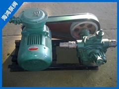 球形（xíng）轉子泵-球型泵