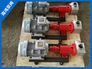 撓（náo）性（xìng）件泵（bèng）-撓性轉子泵