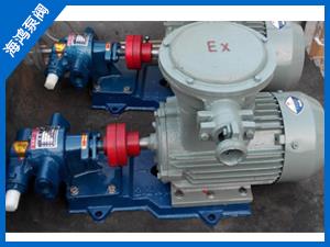 防爆齒輪泵-齒輪泵