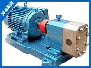 外潤滑齒輪泵-不鏽鋼齒輪泵