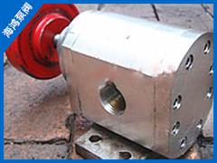 不鏽鋼（gāng）齒輪泵