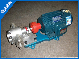 不鏽鋼齒輪泵-3不鏽（xiù）鋼齒輪泵（bèng）-KCB83