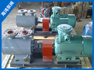 雙螺杆（gǎn）泵（bèng）-2G型雙（shuāng）螺杆泵