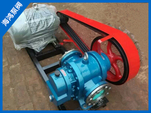 LCX高粘度保溫泵-羅茨保（bǎo）溫泵