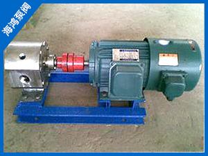 BW型（xíng）保溫泵-BW係（xì）列保（bǎo）溫泵