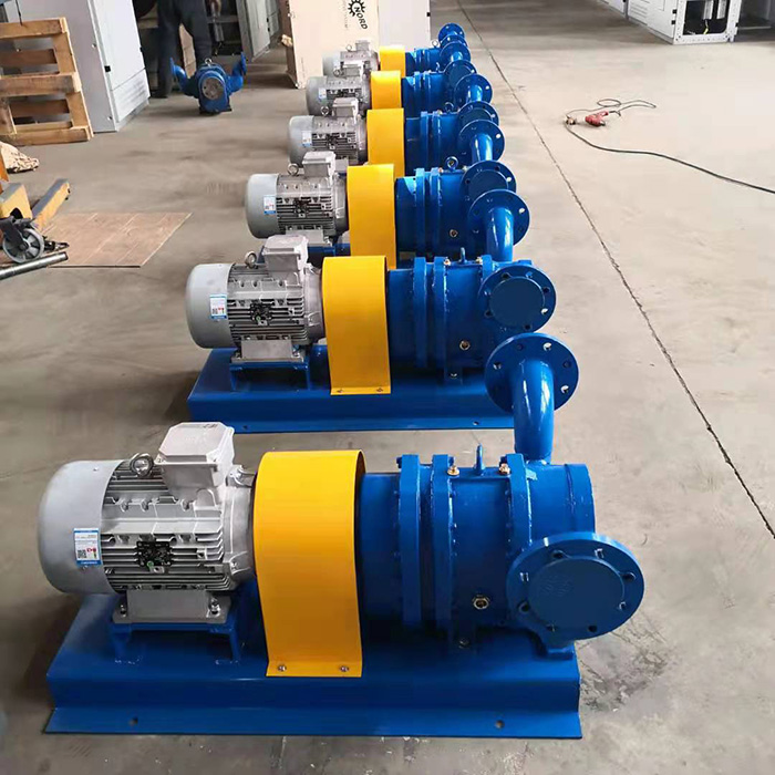 LXB凸輪活塞轉子泵（bèng）