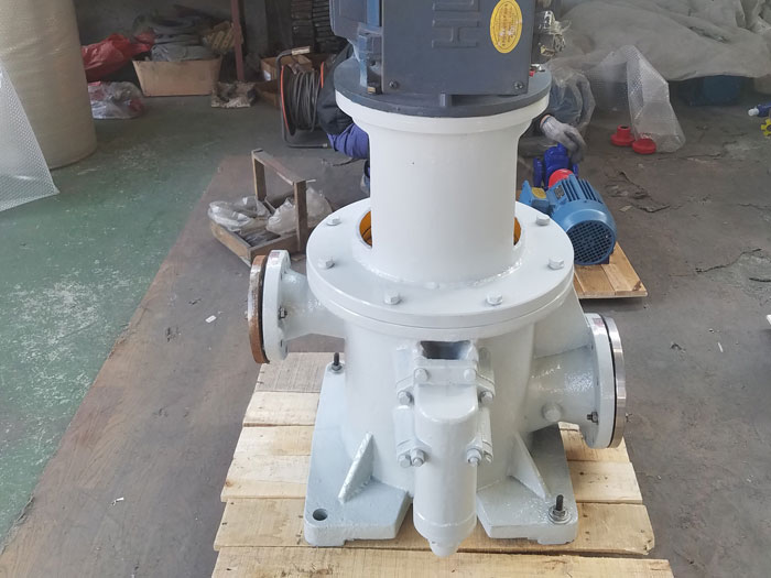 立式導（dǎo）熱油泵