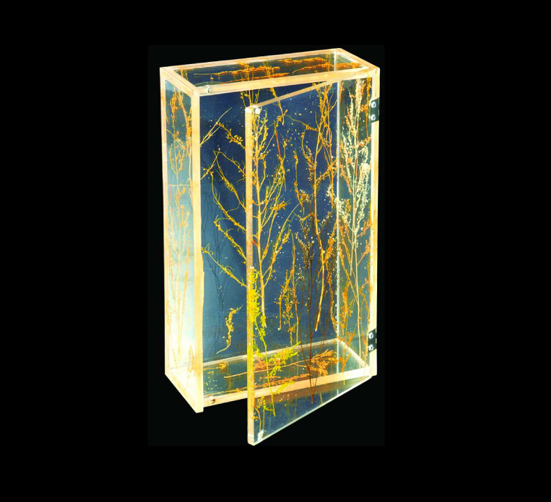 星空无限传媒官网盒 星空无限传媒官网盒