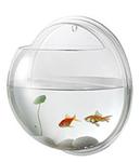 星空无限传媒官网魚缸