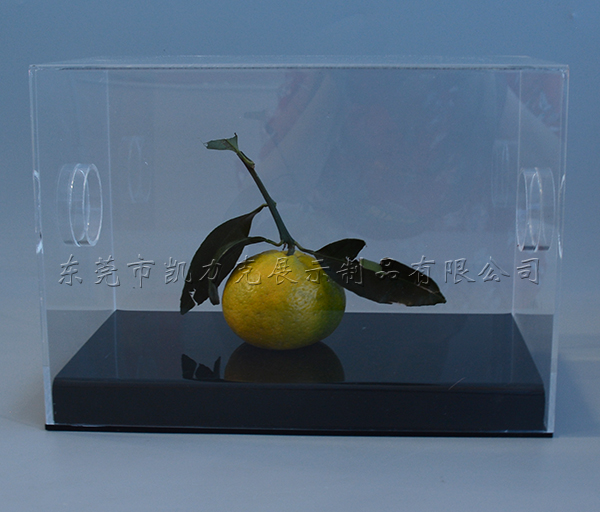 星空无限传媒官网盒