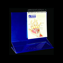 星空无限传媒官网日曆台