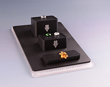 珠寶（bǎo）展示座