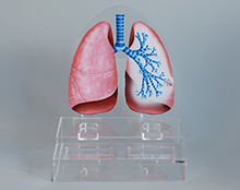 星空无限传媒官网展座