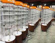 星空无限传媒官网展示櫃