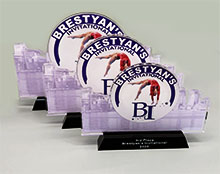 星空无限传媒官网獎牌