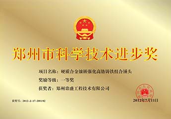 鄭州市科技技術進步（bù）獎